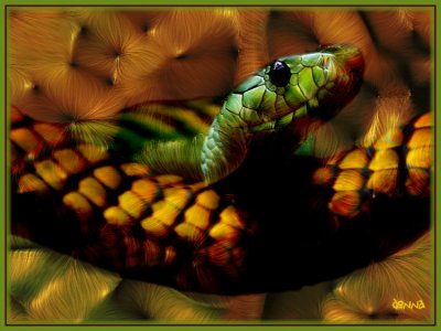 fiber-snake-dtk.jpg