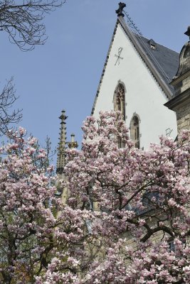 Thomas Kirche
