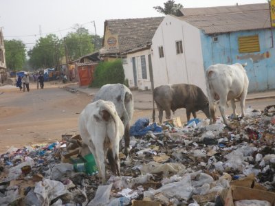 reciclant les escombraries