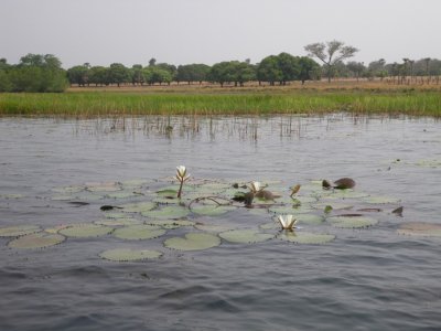 al llac Tengrela