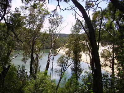un llac (si se li pot dir aix) a Fraser Island