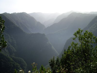 La Palma '08