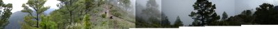 La Palma '08