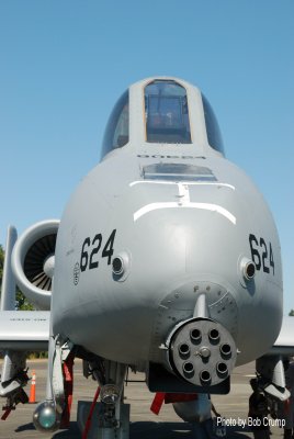 A-10 Thunderbolt_01.jpg