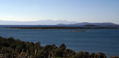 DSC05992.jpg