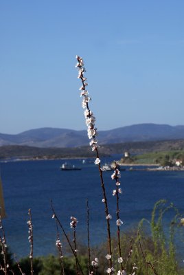 DSC05997.jpg