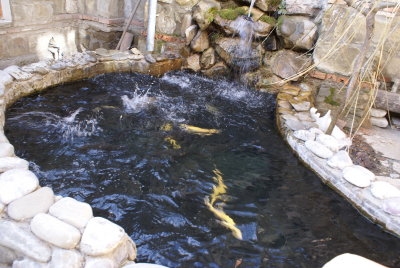 DSC02541.JPG