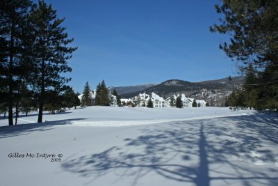 IMG_0540-copy.jpg