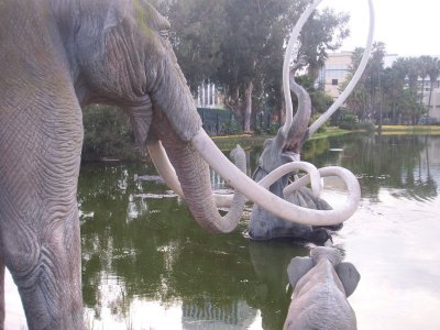 A real life tar pit!