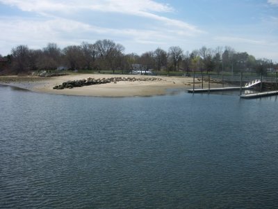 Sort of neat beach