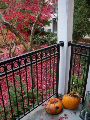 My porch