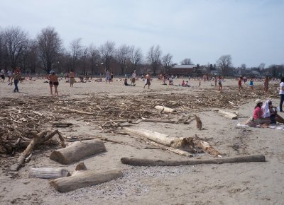 Unexplained log incident on the beach