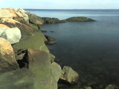 Rocks and water, WHOA