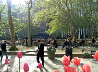 Bryant Park with flowers in it!