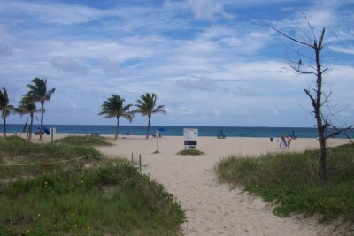 Beach day