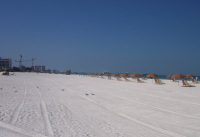 Morning in Clearwater