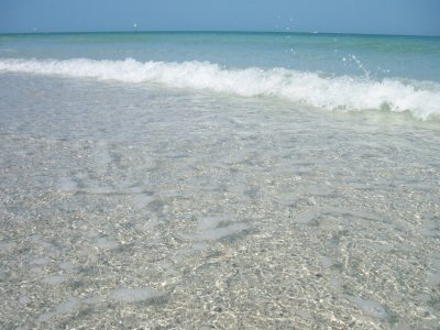 Clearwater waves