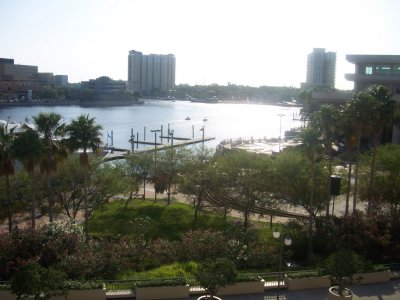 Tampa view
