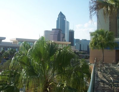 Palms