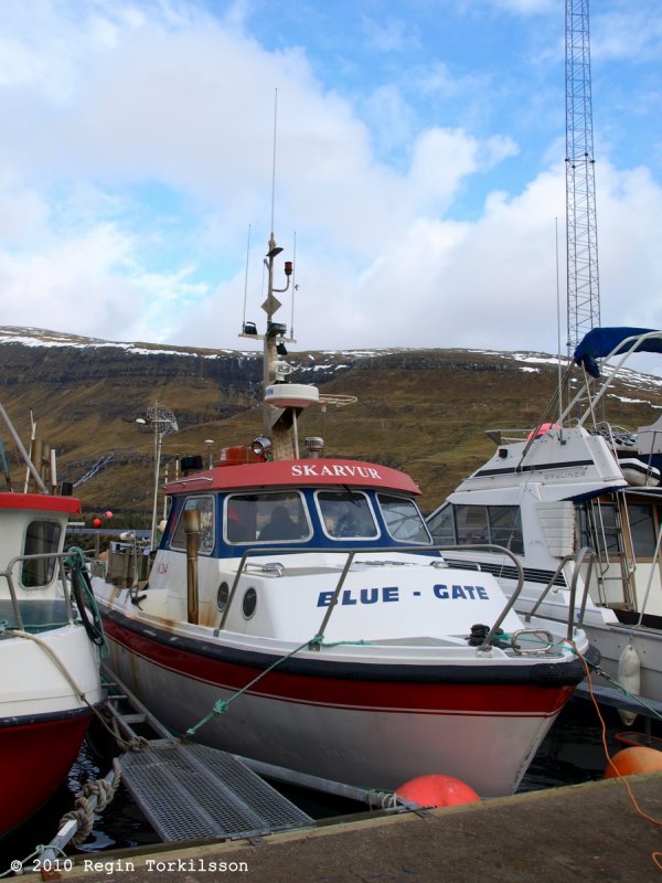 Skarvur VA 264
