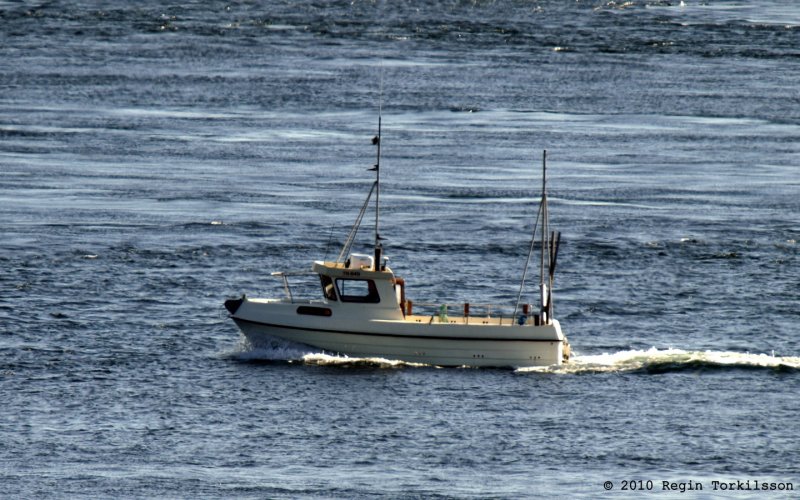 Kalle TN 849