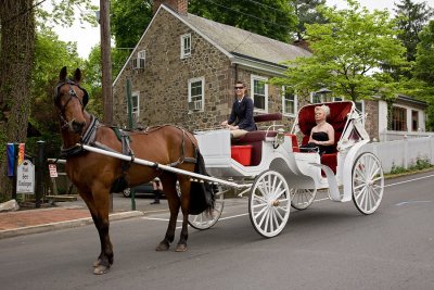 Princess in Horse Drawn Carriage