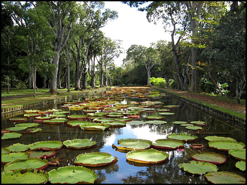 Pampelmoes Gardens