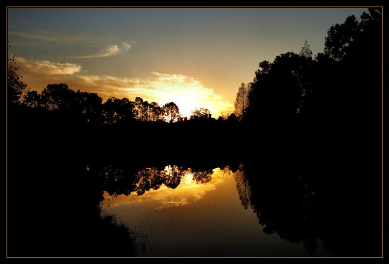 Reflections