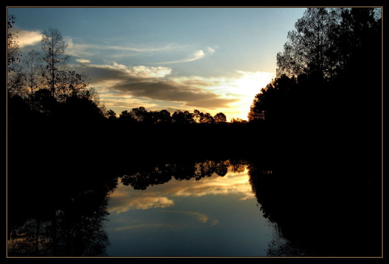 Reflections