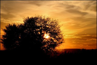 Sunset in African Bushveld 3