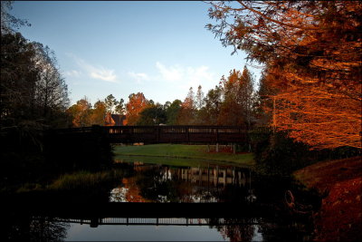 Autumn Riverside