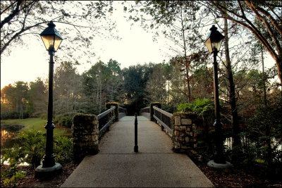 Autumn Riverside