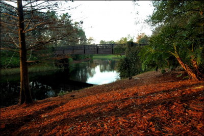 Autumn Riverside