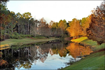 Autumn Reflection