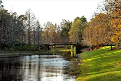 Autumn Reflection