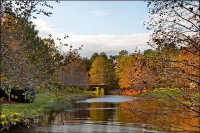 Autumn Reflection