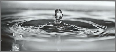 Metallic Water