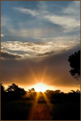 Pretoria Sunset