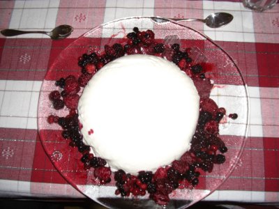 die Joguhrtbombe