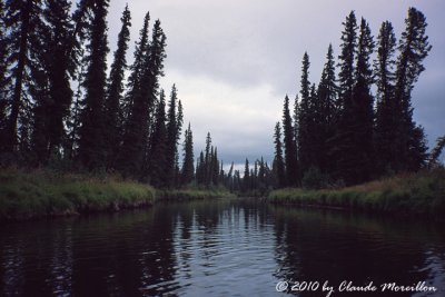 Wilderness