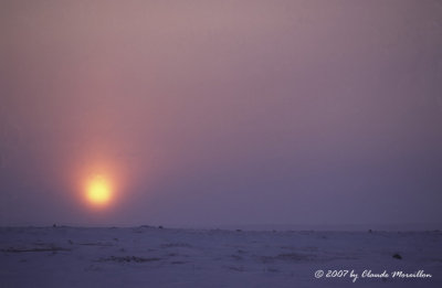 Sunrise on the toundra