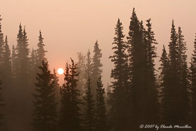 At sunrise