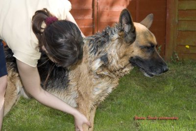 Bath-time for Jazz