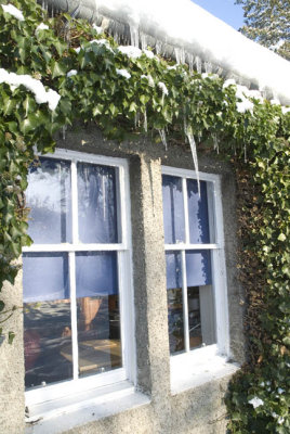 Winter 2010 at Holylee,Peeblesshire