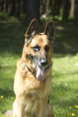 DSC_0022.jpg