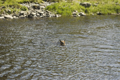 DSC_0031.jpg