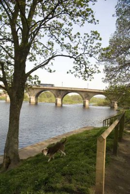 The RiverTyne at Hexham
