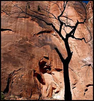 CRACK IN THE ROCK FACE
