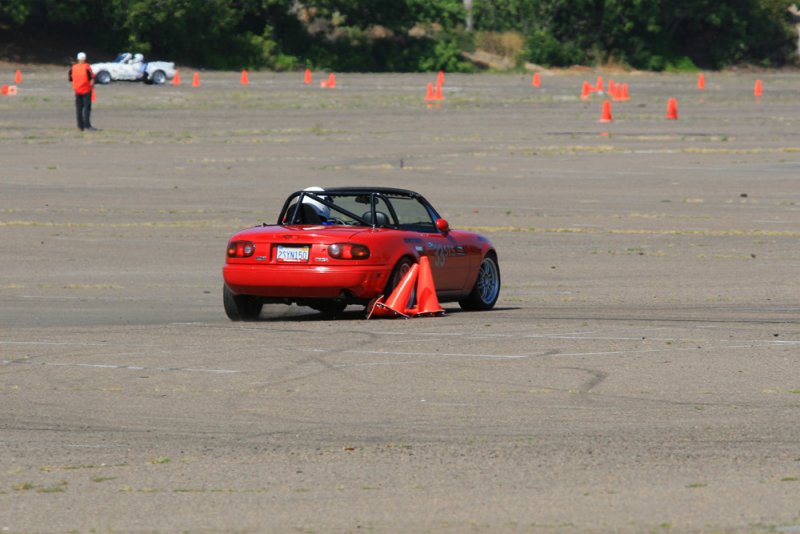 IMG_4352.jpg