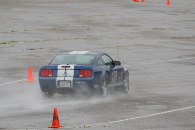 IMG_0245.jpg